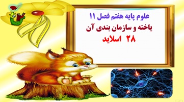 علوم پایه هفتم فصل 11 یاخته و سازمان بندی آن 28 اسلاید