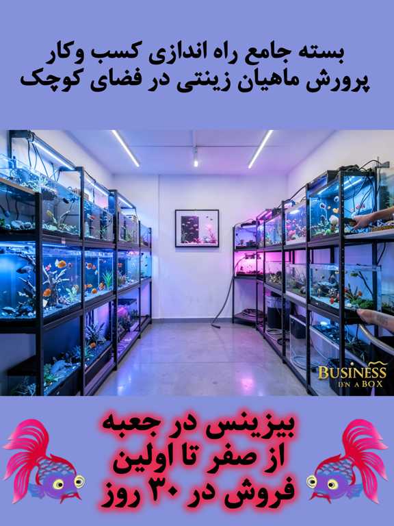 بسته جامع آموزش پرورش ماهیان زینتی در خانه – بیزینس در جعبه