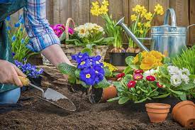 پاورپوینت باغبانی عمومی